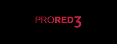 PRORED3 Logo